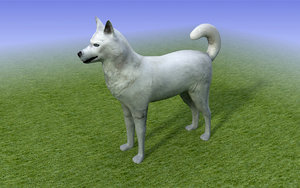 white husky dog 3ds