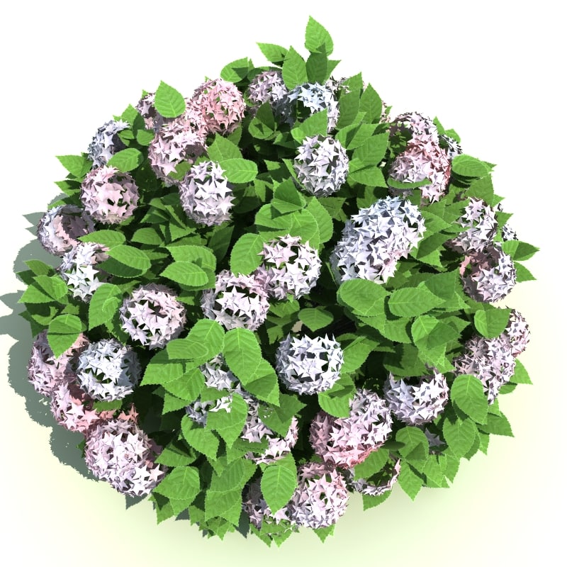 Annabelle Flower Com - Food Ideas