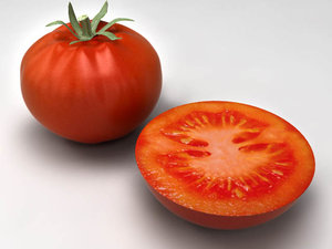 tomatoes 3d model
