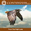 3d red tailed hawk -