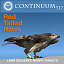 3d red tailed hawk -