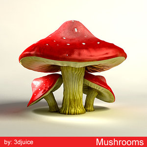 mushrooms amanita muscaria 3d max