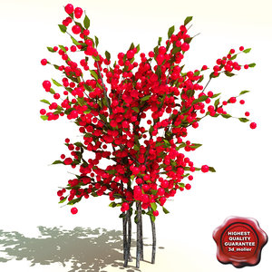3d model ilex verticillata red winterberry