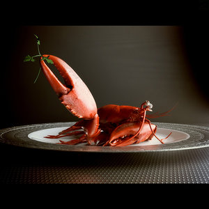 3d model of lobster