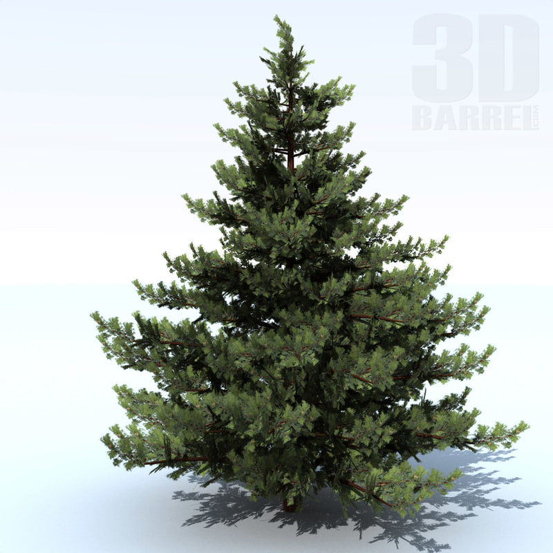 pine tree 3d model