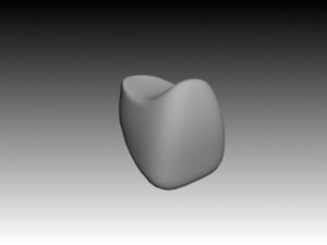 central incisiv maxilar 3d model