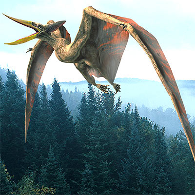 realistic pterodactyl