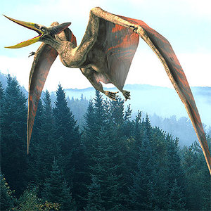 flying pterosaur 3d lwo