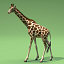 giraffe 3ds