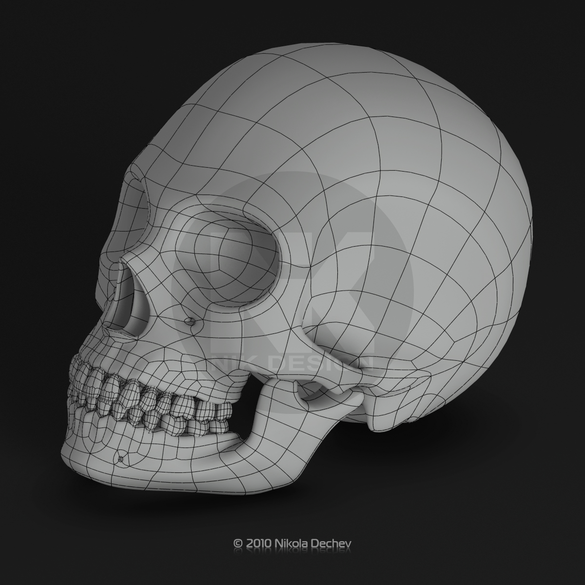 女性牙科頭骨3d模型