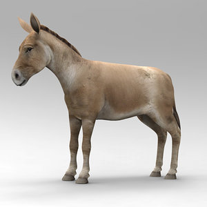 donkey 3d model