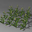 3ds max sorghum field