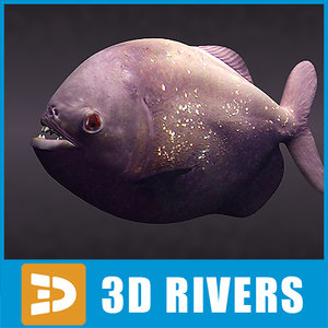 aggressive piranha fish rivers 3d max