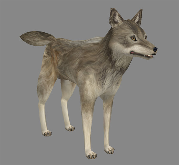 Wolf models. Волк 3д модель. Волк 3d модель. Модель волка фигурка. Волк моделька 2д.