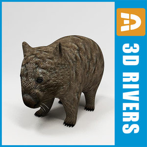 wombat animals marsupials 3d model