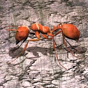 3dsmax red ant