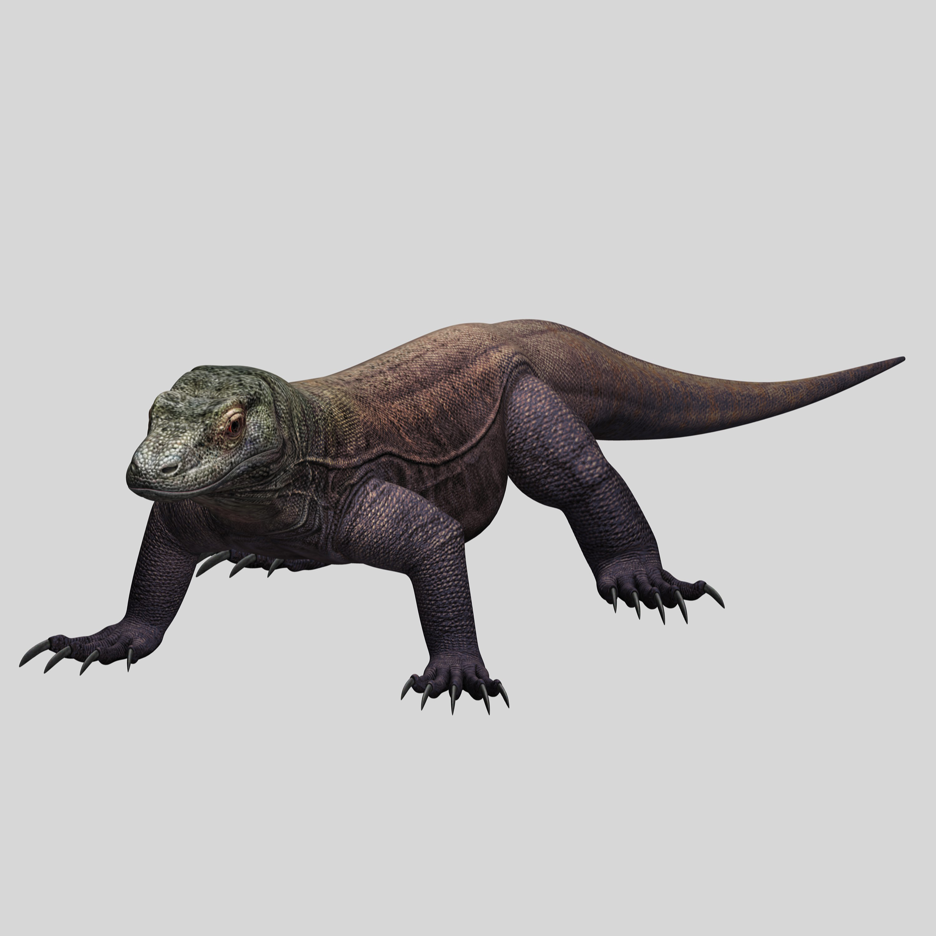 komodo dragon 3d model