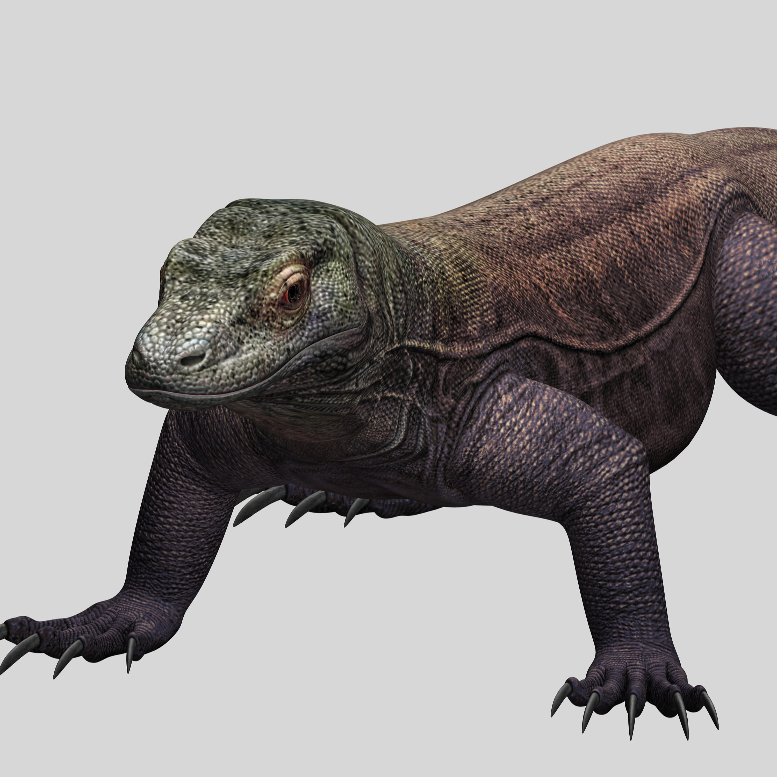 komodo dragon 3d model