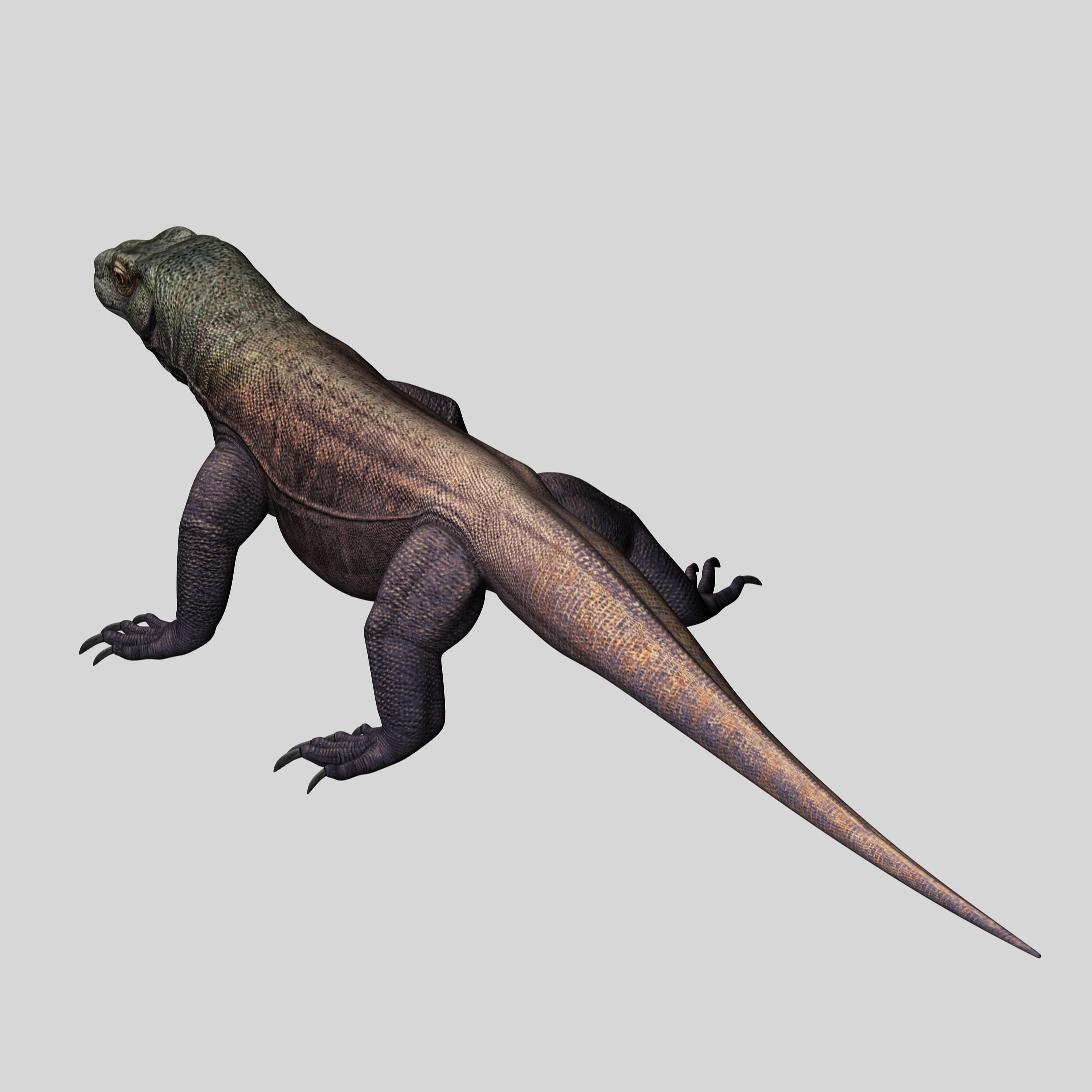 komodo dragon 3d model