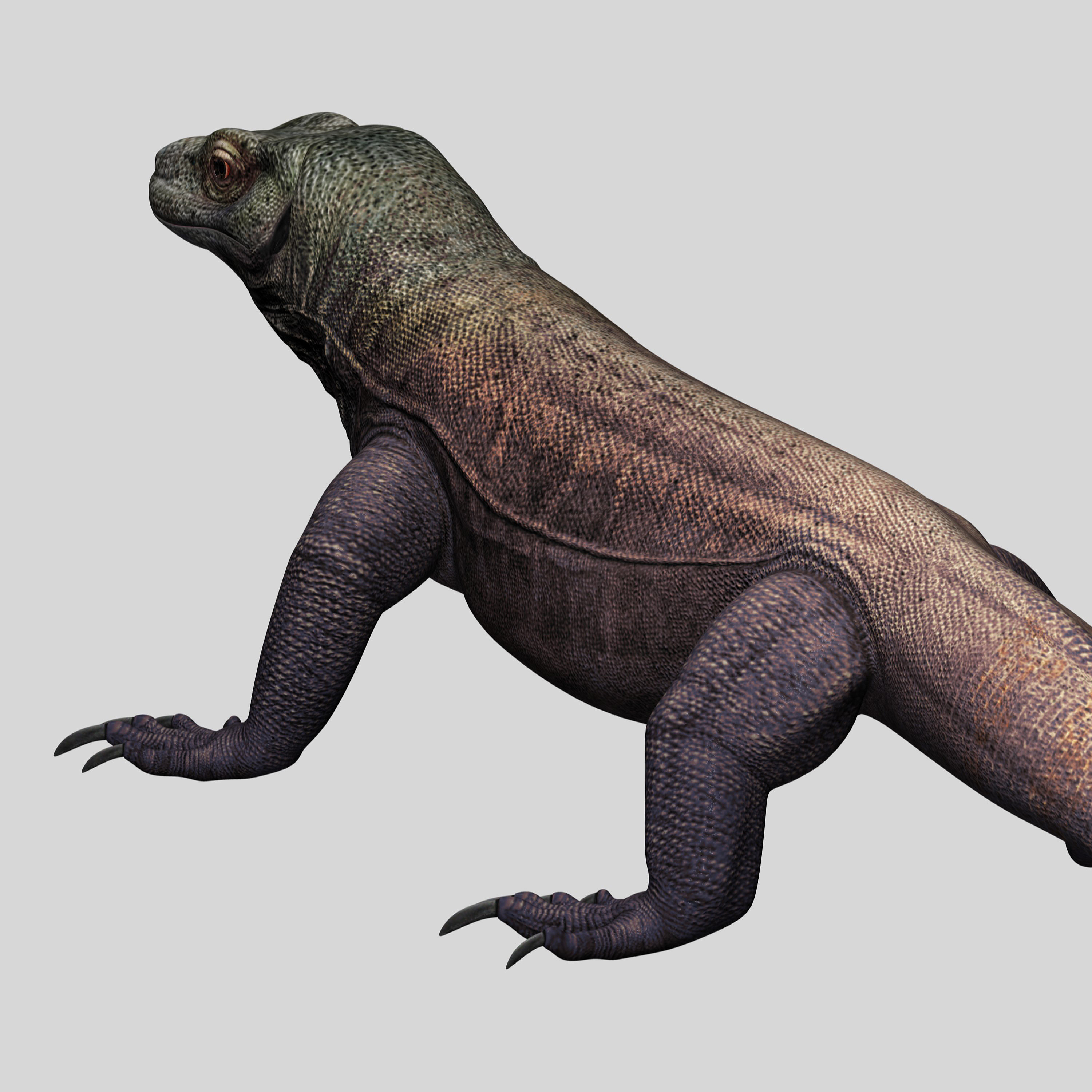 komodo dragon 3d model