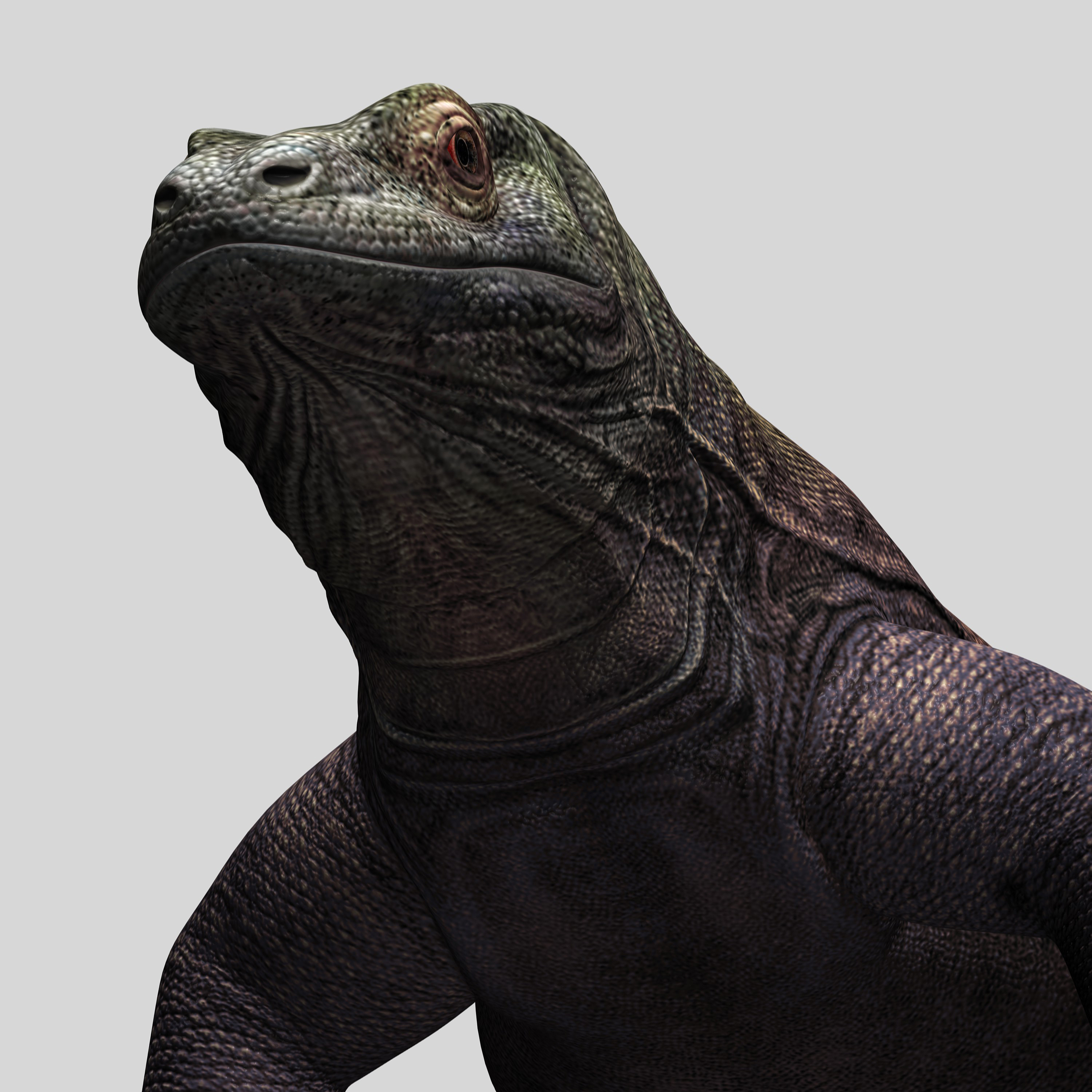 komodo dragon 3d model