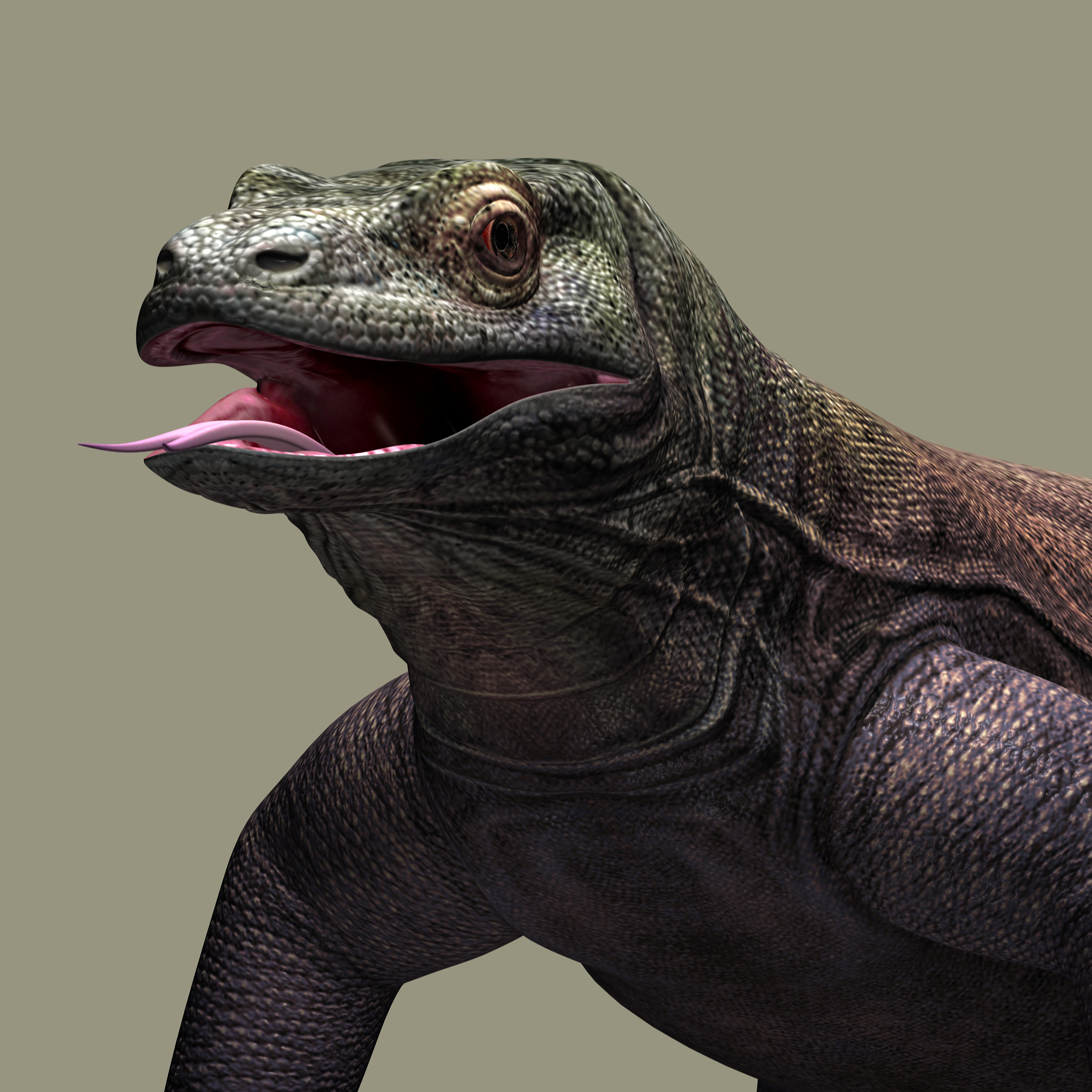 komodo dragon 3d model