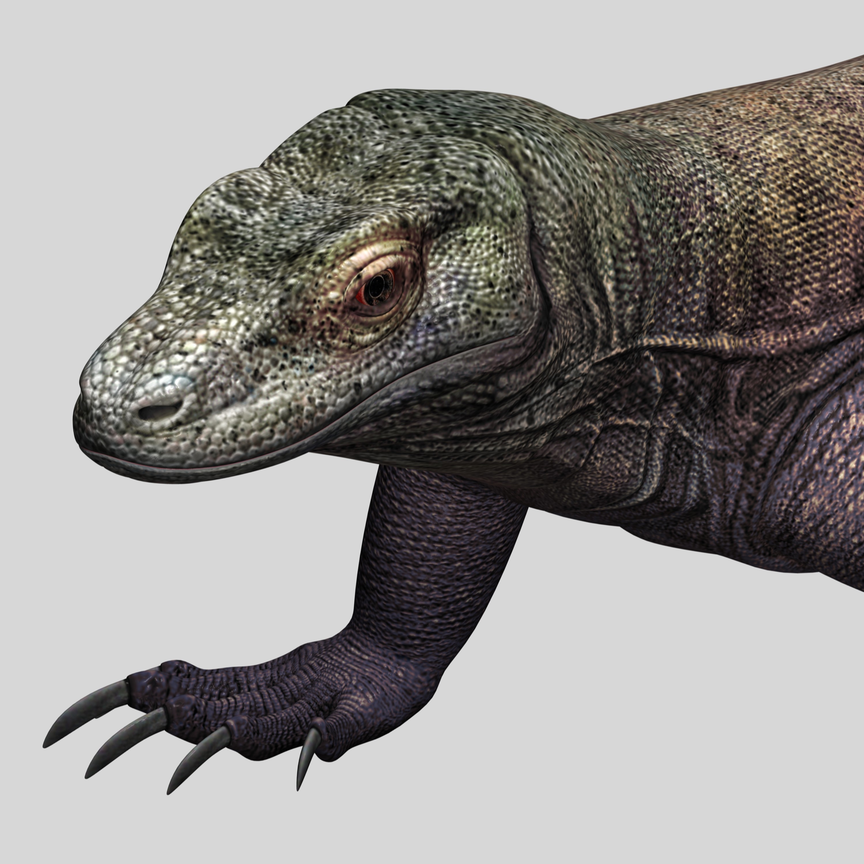 komodo dragon 3d model