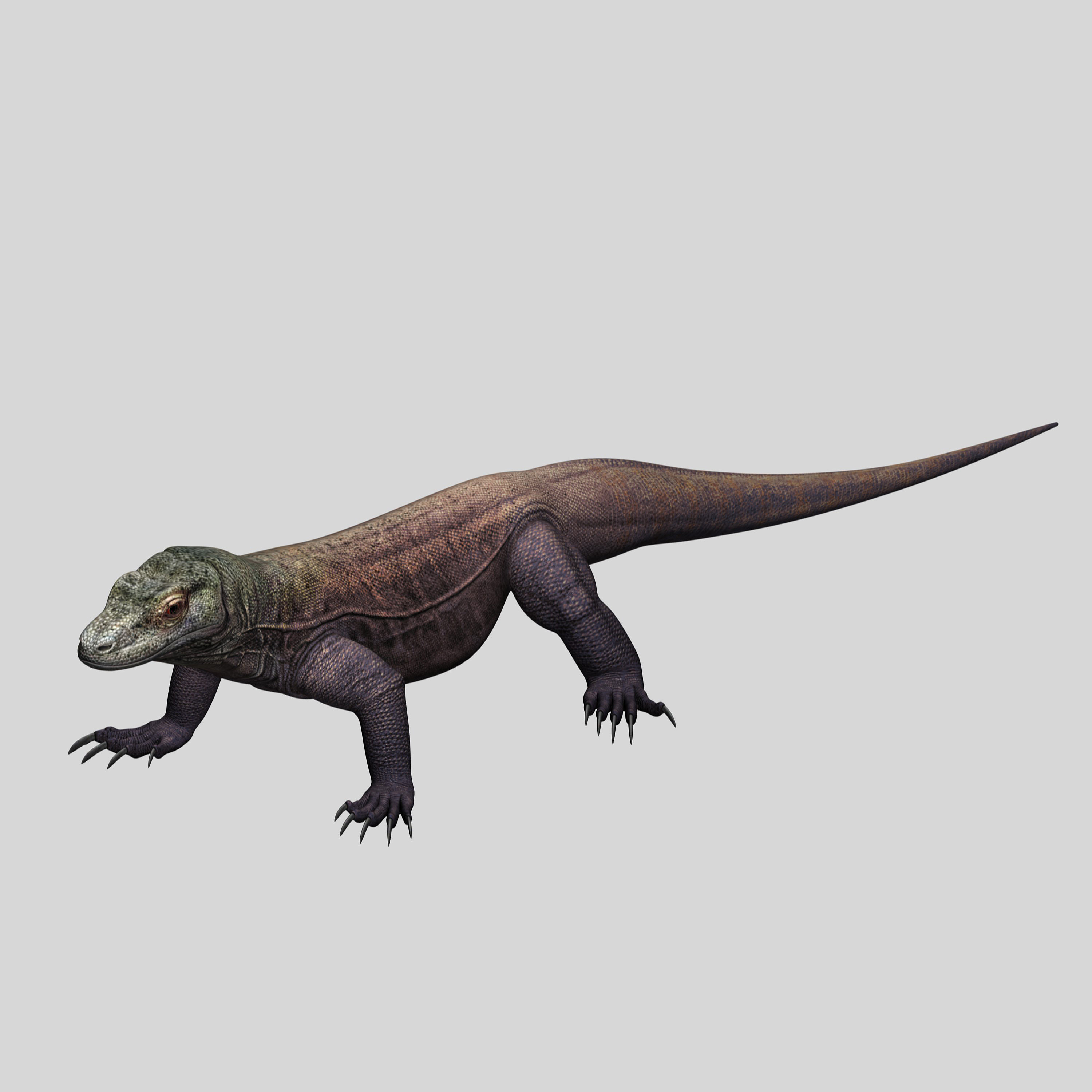 komodo dragon 3d model