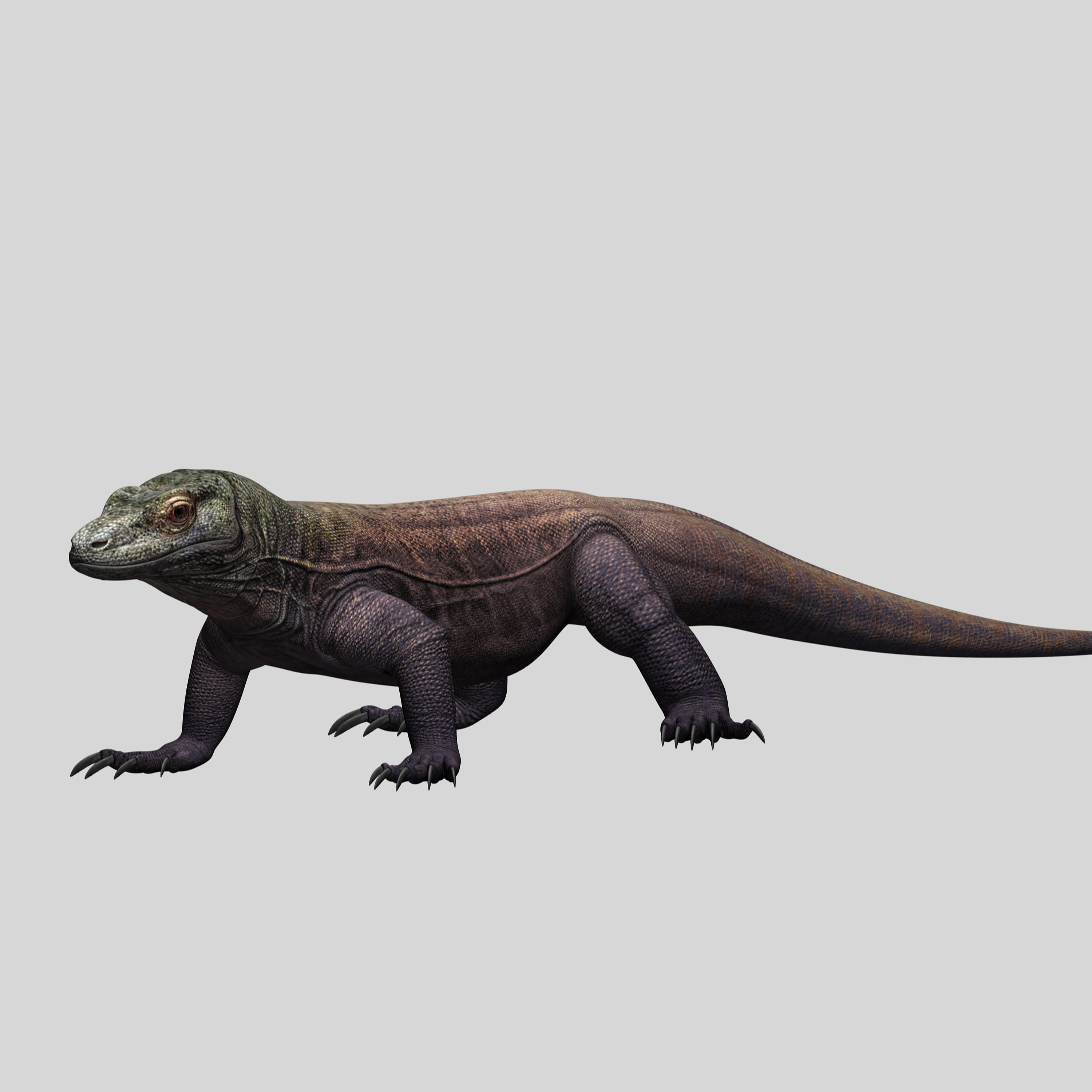 komodo dragon 3d model