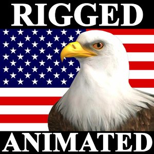 eagle bald animation american 3d model