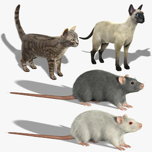 3d model cats rats
