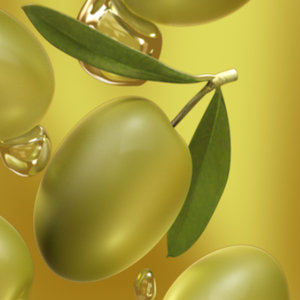 ma olives fruit