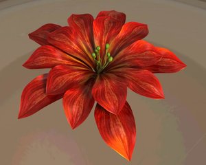 3dsmax blooming flower animation
