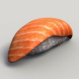salmon sake 3d model