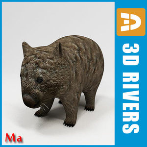 3dsmax wombat animals marsupials