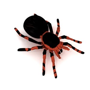 tarantula redknee 3d model