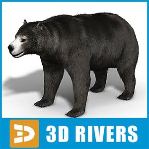 amphicyonidae bear 3d model