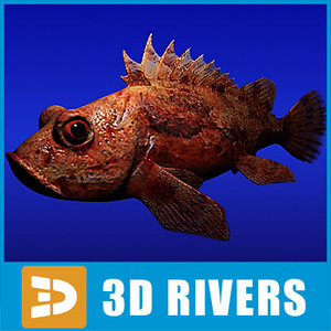3d scorpionfish fish model