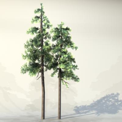 3d pc tree model