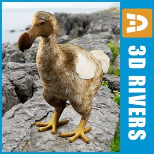 3d dodo bird