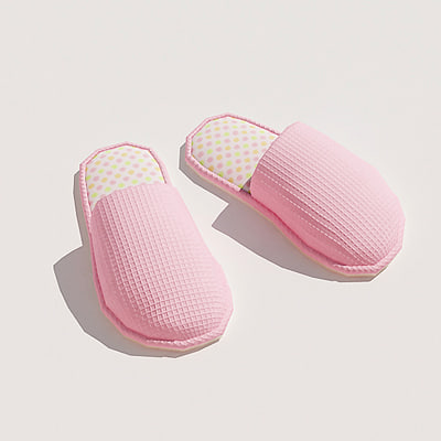 house slippers max