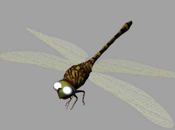 dragonfly 3d model stl free download dragonfly 3d model stl free download