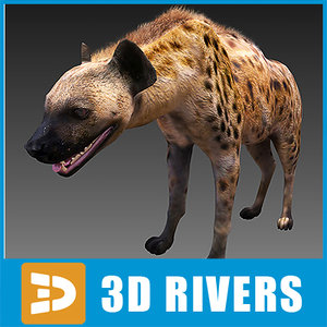 spotted hyena 3d model