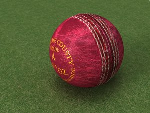 3d model used cricket leather ball