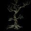 secular tree 3d model