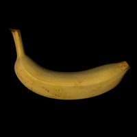 banana fruit c4d free