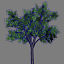 trees pc ps3 3d model