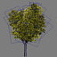 trees pc ps3 3d model
