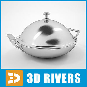 3d dish cover model