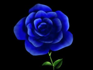 Free 3D Rose Models | TurboSquid